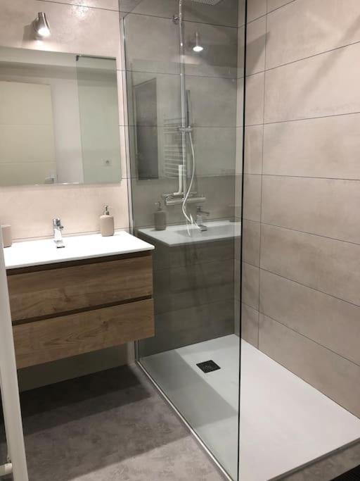 Appartement Moderne & Lumineux 40M2 Centre Luxeuil Ngoại thất bức ảnh
